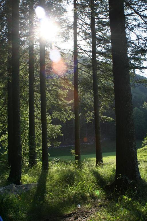 Hotel Winkler Lokve Zewnętrze zdjęcie